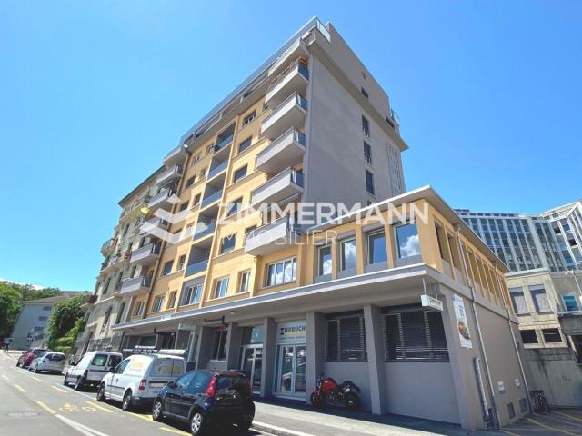 Appartement 1.5 Pièce Rue du Valais 1202 Genève