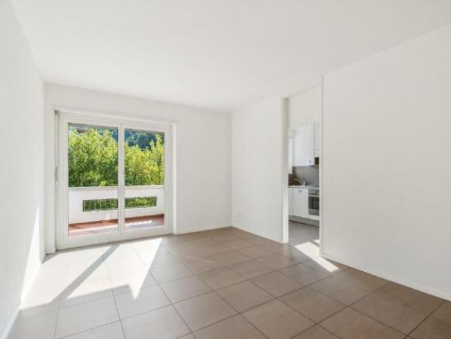 Appartement 1.5 pièces