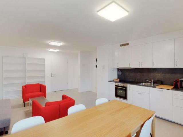 Appartement 1.5 pièces