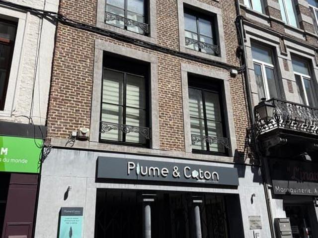 Appartement 1ch entièrement rénové en plein centre ville !