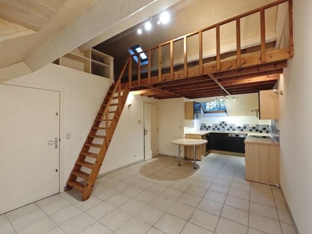 appartement 1ch lumineux et très calme avec mezzanine
