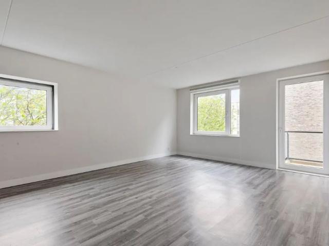 Appartement 1e Lulofsdwarsstraat 16 V, La Haye À Louer