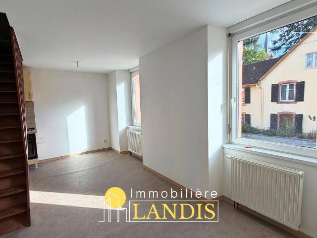 APPARTEMENT 2/3 PIÈCES PROCHE DU CENTRE VILLE