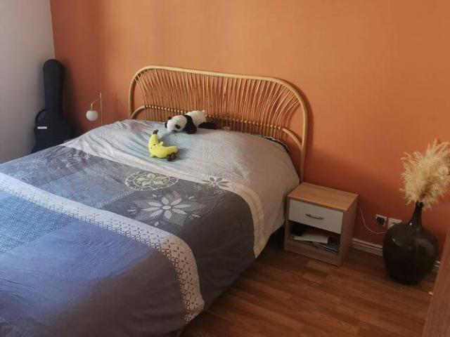 Appartement 2/3 pièces vieux Schiltigheim
