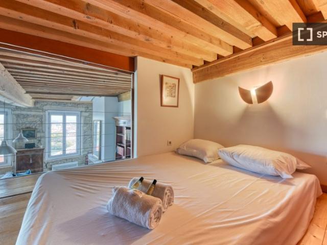 Appartement 2 chambres à louer à Lyon