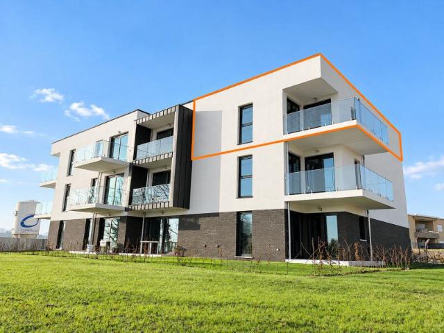 Appartement 2 chambres, parking, terrasse, cave