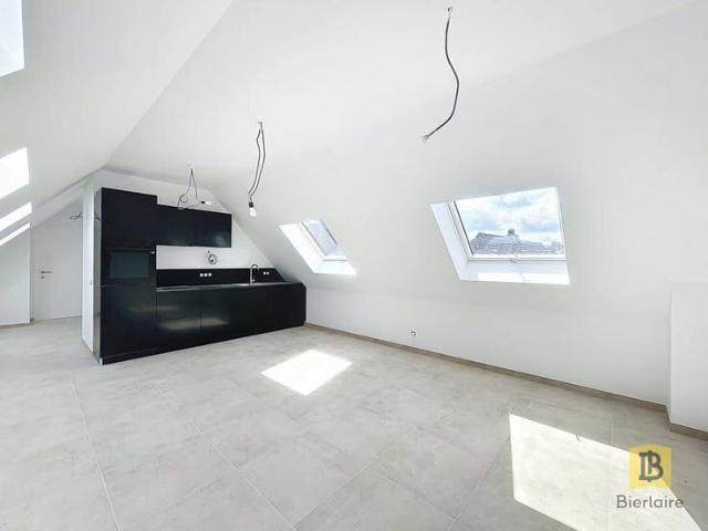 Appartement 2 chambres rénové