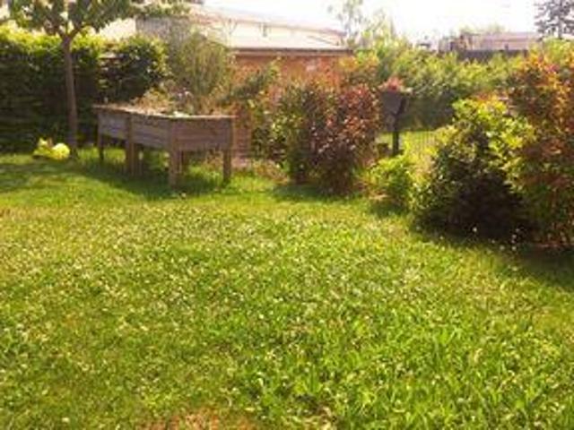 Appartement 2 chambres, Selestat Alsace 67600 DS101198076