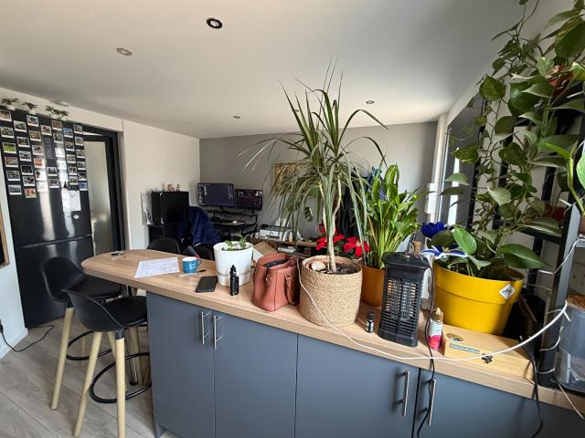 Appartement 2 pièce s
