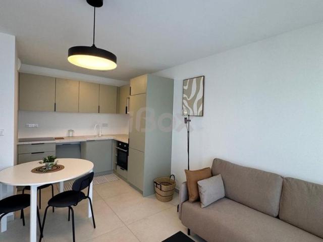 Appartement 2 pièce s 1 chambre s 39.04 m²