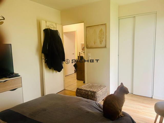 Appartement 2 pièce s