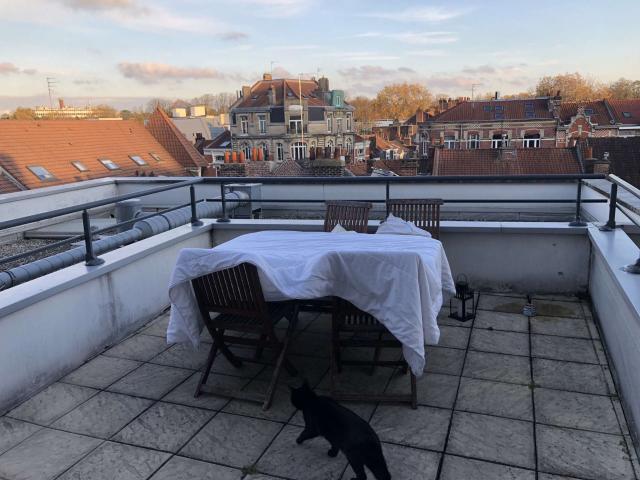 Appartement 2 pièces 41 m²