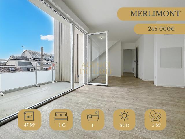 Appartement 2 pièces 47 m²
