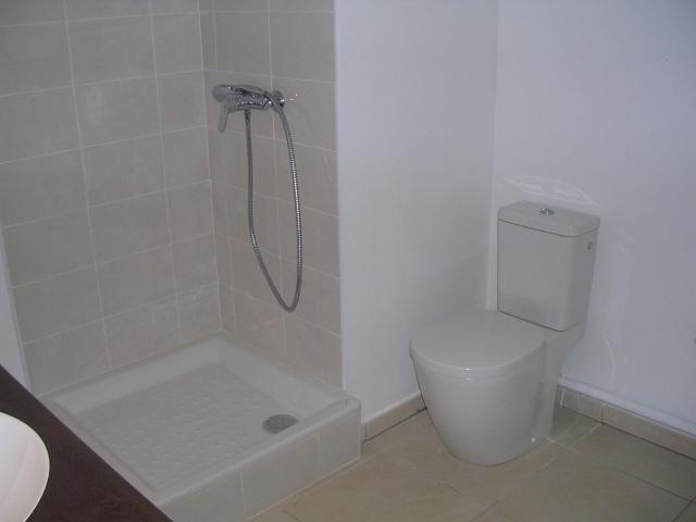 Appartement 2 pièces, 45 m² à louer à Lyon 7 69007