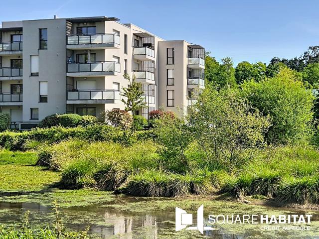 Appartement 2 pièces 45 m²