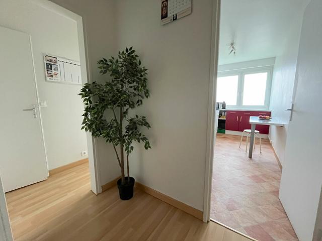 Appartement 2 pièces 45 m²