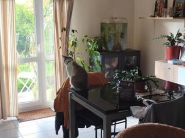 Appartement 2 pièces, 48 m² à louer à Fontaine 38600