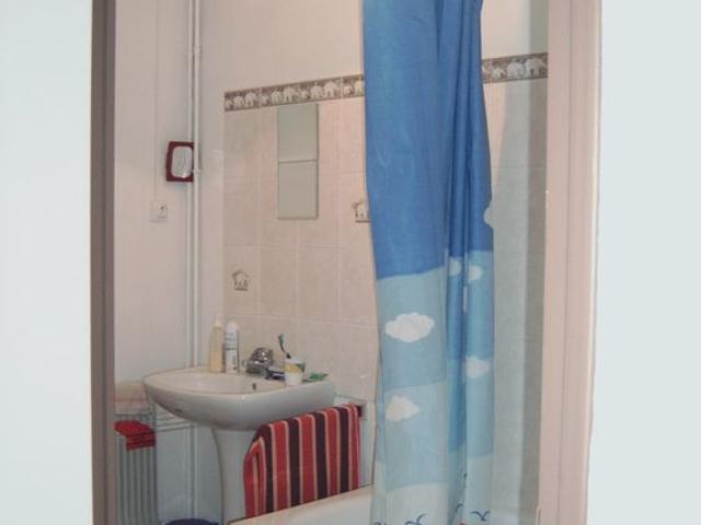 Appartement 2 pièces, 48 m² à louer à Lille 59000