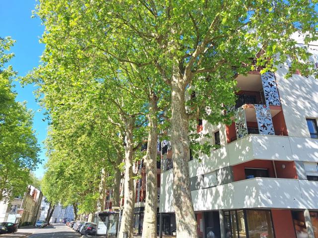 Appartement 2 pièces 48 m²