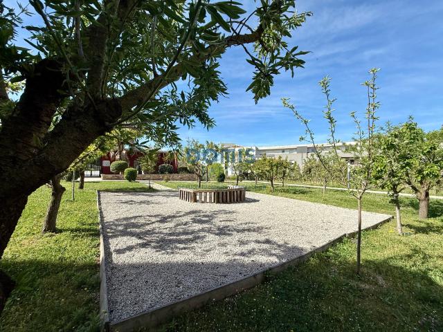 Appartement 2 pièces 53 m²