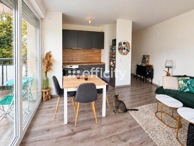 Appartement 2 pièces 50 m²