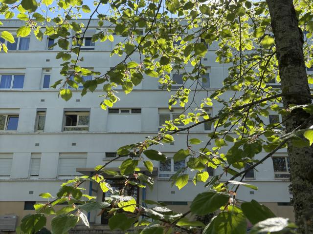 Appartement 2 pièces 50 m²