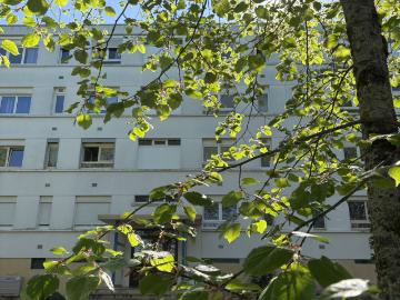 Appartement 2 pièces 50 m²