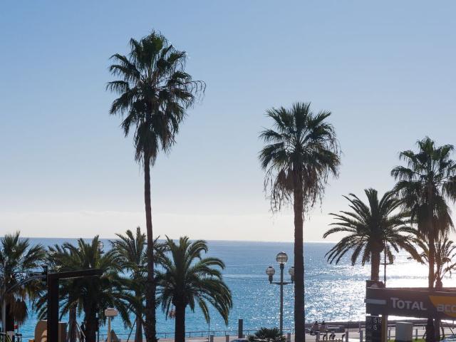 Appartement 2 pièces, 54 m² à louer à Nice 06000