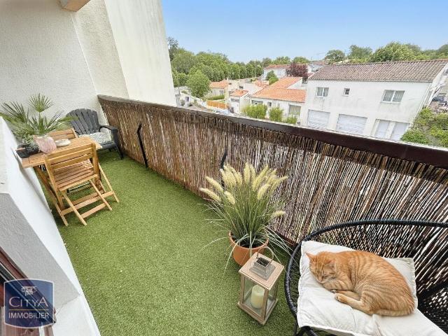 Appartement 2 pièces 54 m²