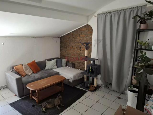 Appartement 3 pièces 54 m²