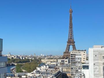 Île aux Cygnes, Paris 15e Arrondissement, Paris, Île-de-France