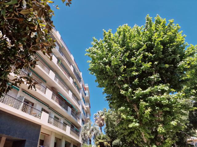 Appartement 2 pièces 55 m²
