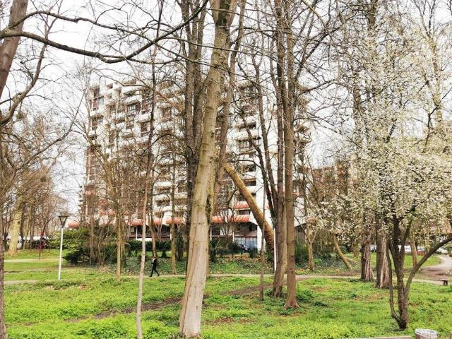 Appartement 2 pièces 55 m²