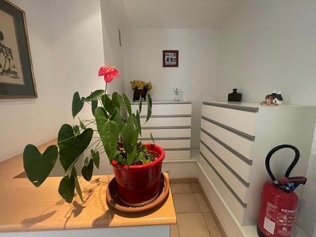 Appartement 2 pièces 56 m²