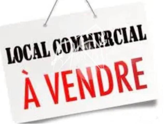 Appartement 2 pièces 60 m²