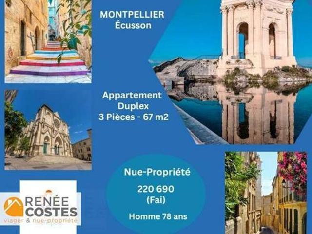 Appartement 2 pièces 80 m²