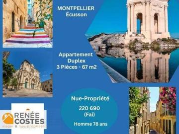 Comédie, La Languedocienne Montpellier, Maurin, Hérault, Languedoc-Roussillon