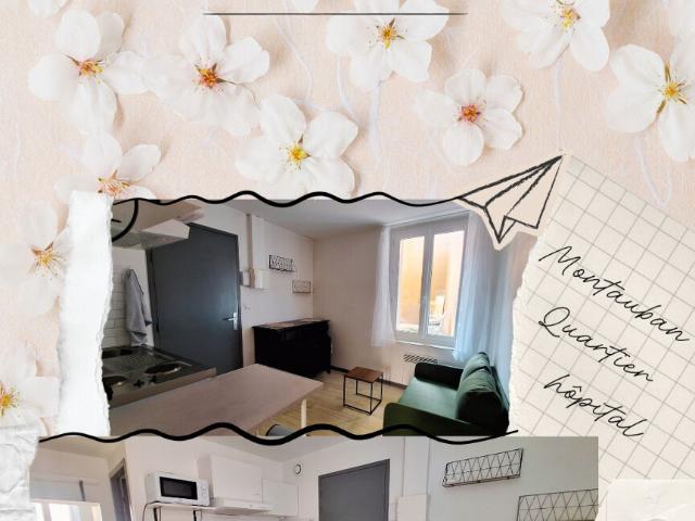 Appartement 2 pièces, 20 m² à louer à Montauban 82000