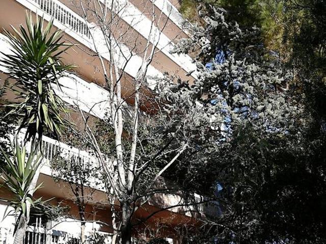 Appartement 2 pièces, 28 m² à louer à Montpellier 34000
