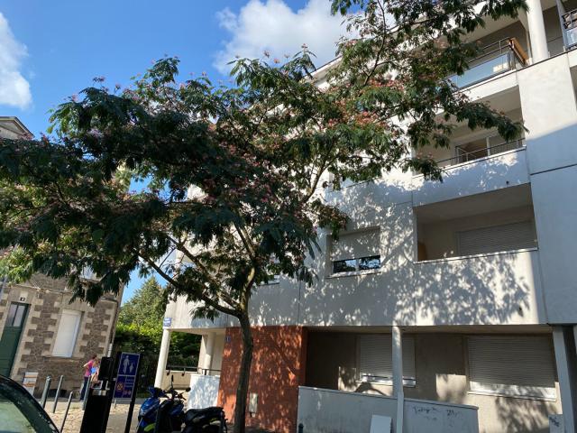 Appartement 2 pièces 28 m²