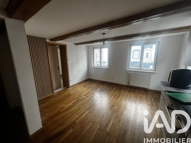 Appartement 2 pièces, 30 m² à louer à Dannemarie 68210