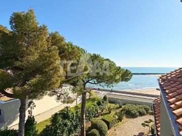 Méditerranée, La Languedocienne Montpellier, Maurin, Hérault, Languedoc-Roussillon