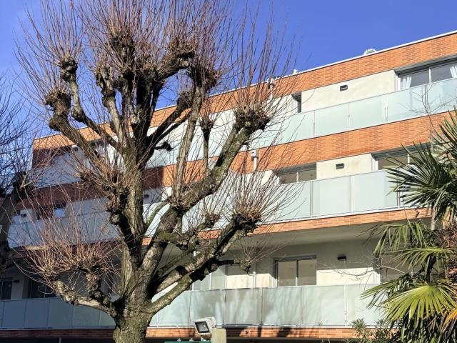 Appartement 2 pièces 37 m²