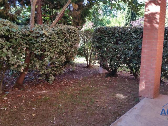 Appartement 2 pièces, 35 m² à louer à Toulouse 31100