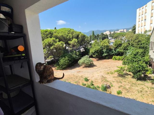 Appartement 2 pièces, 35 m² à louer à Bastia 20600