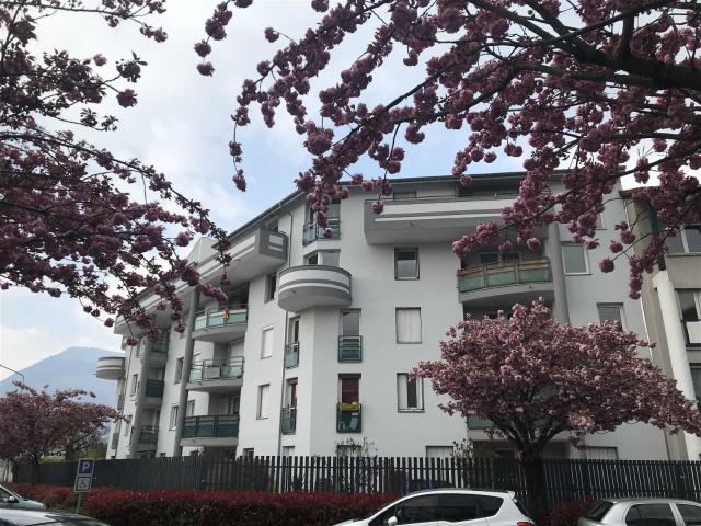 Appartement 2 pièces 36 m²