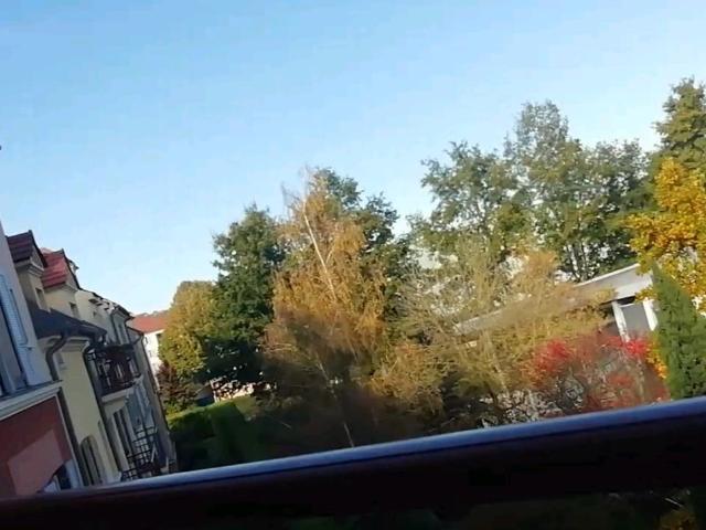 Appartement 2 pièces, 39 m² à louer à Vauréal 95490