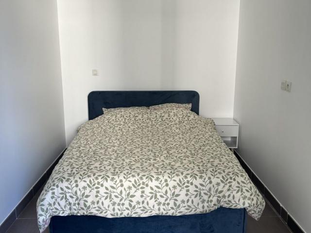 Appartement 2 pièces à louer Montpellier 34000 / Réf: LA2477 IMMOBILIAFR
