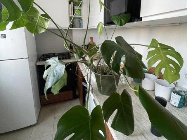 Appartement 2 pièces de 35 m² Saint Denis 93200
