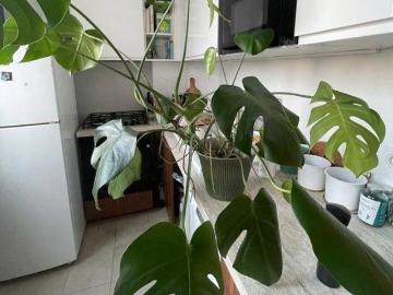 Appartement 2 pièces de 35 m² Saint Denis 93200
